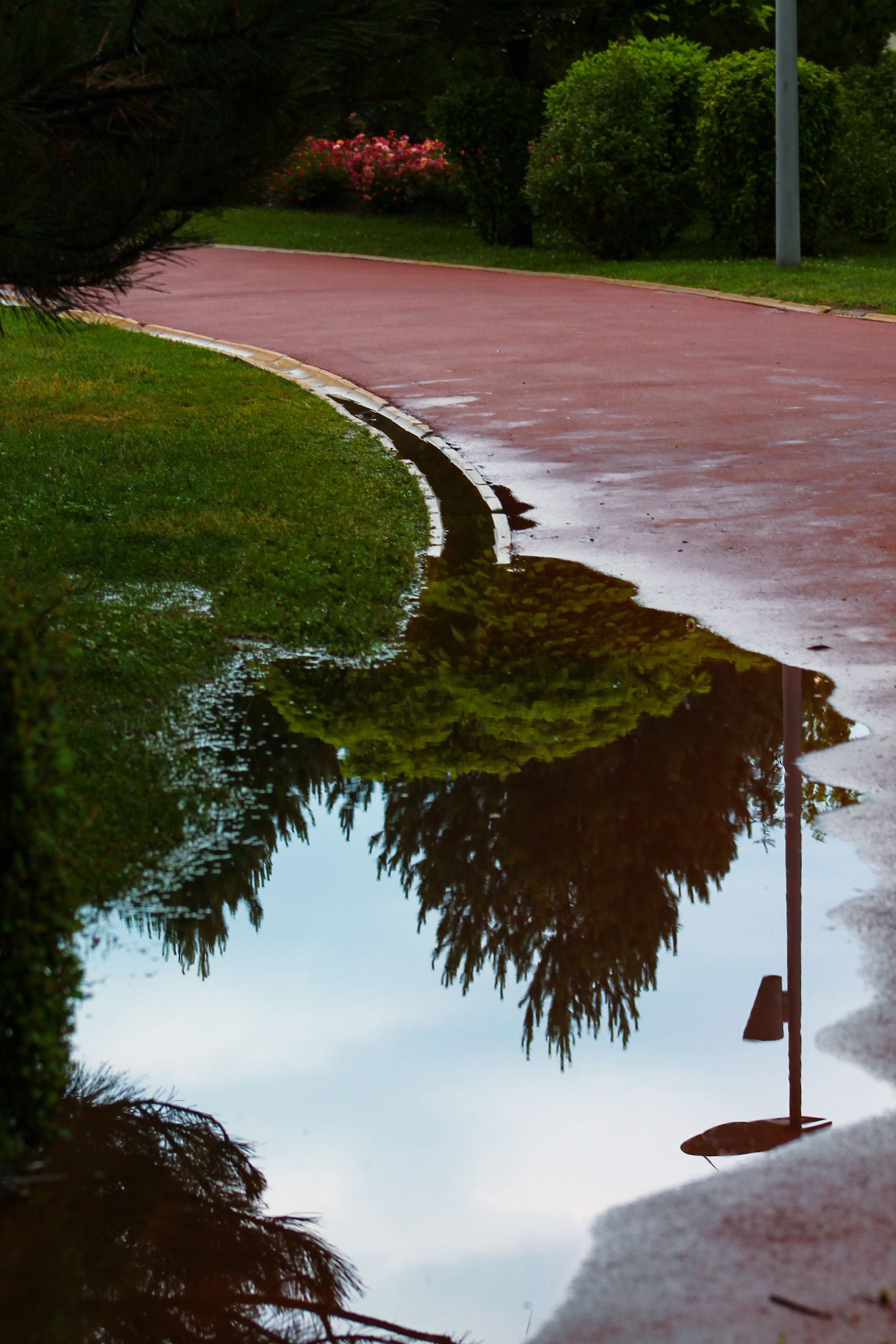 Standing water along the edge of a residential driveway after rain